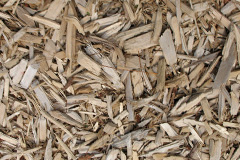 biomass boilers Llangaffo